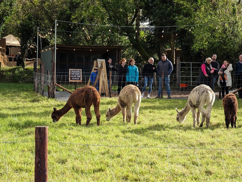 Killarney Farmers Market