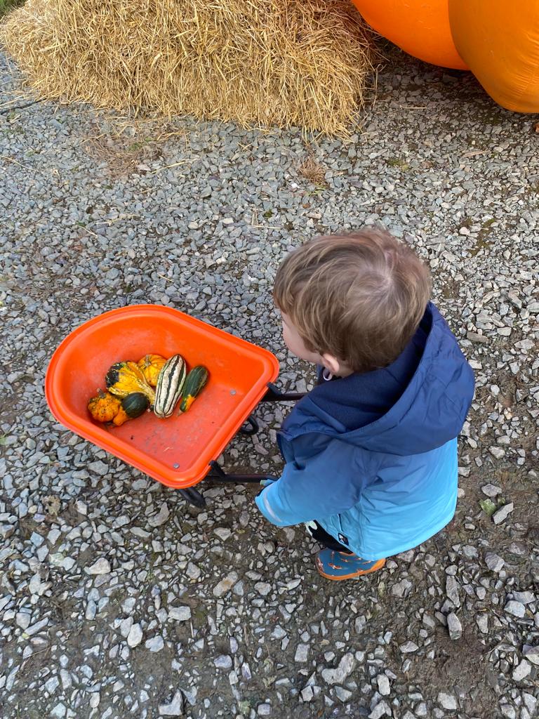Killarney Farmers Market