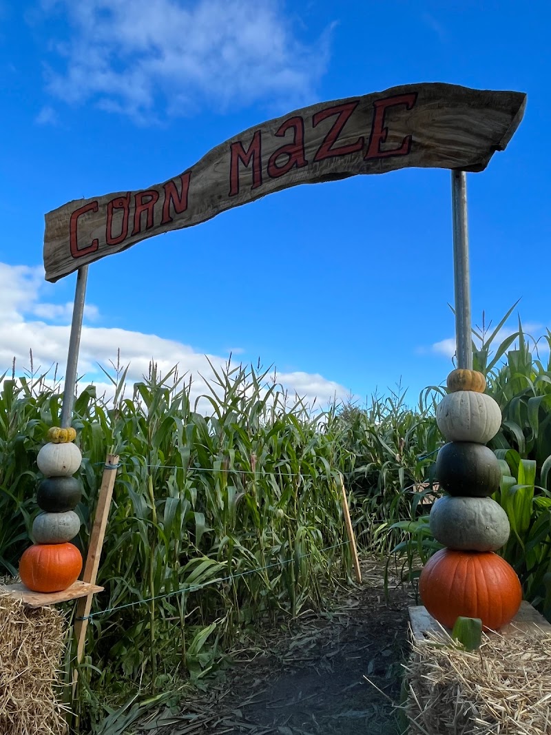 Killarney Farmers Market