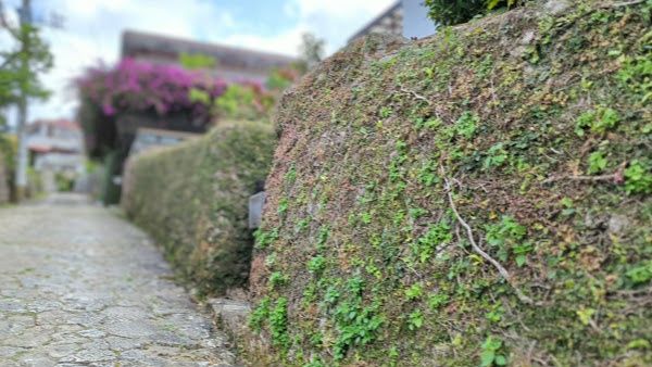 Kinjocho Stone Path