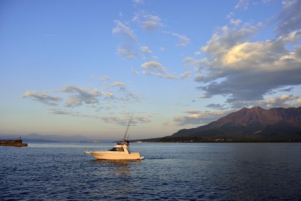 Kinko Bay Dolphin Watching