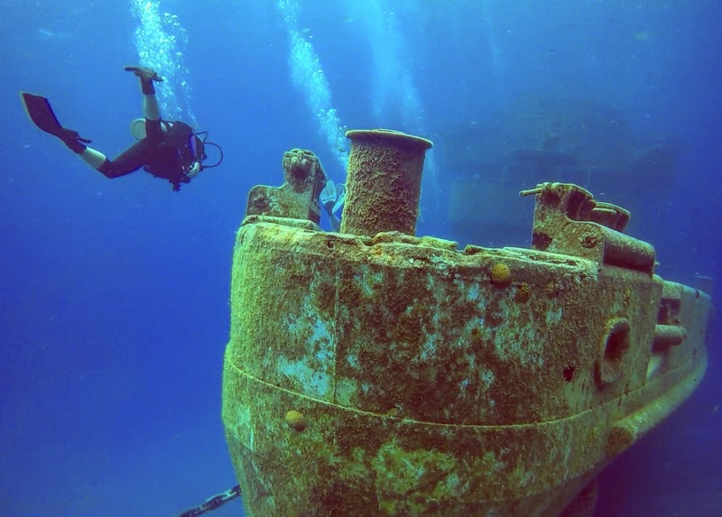 Kittiwake Shipwreck Snorkel
