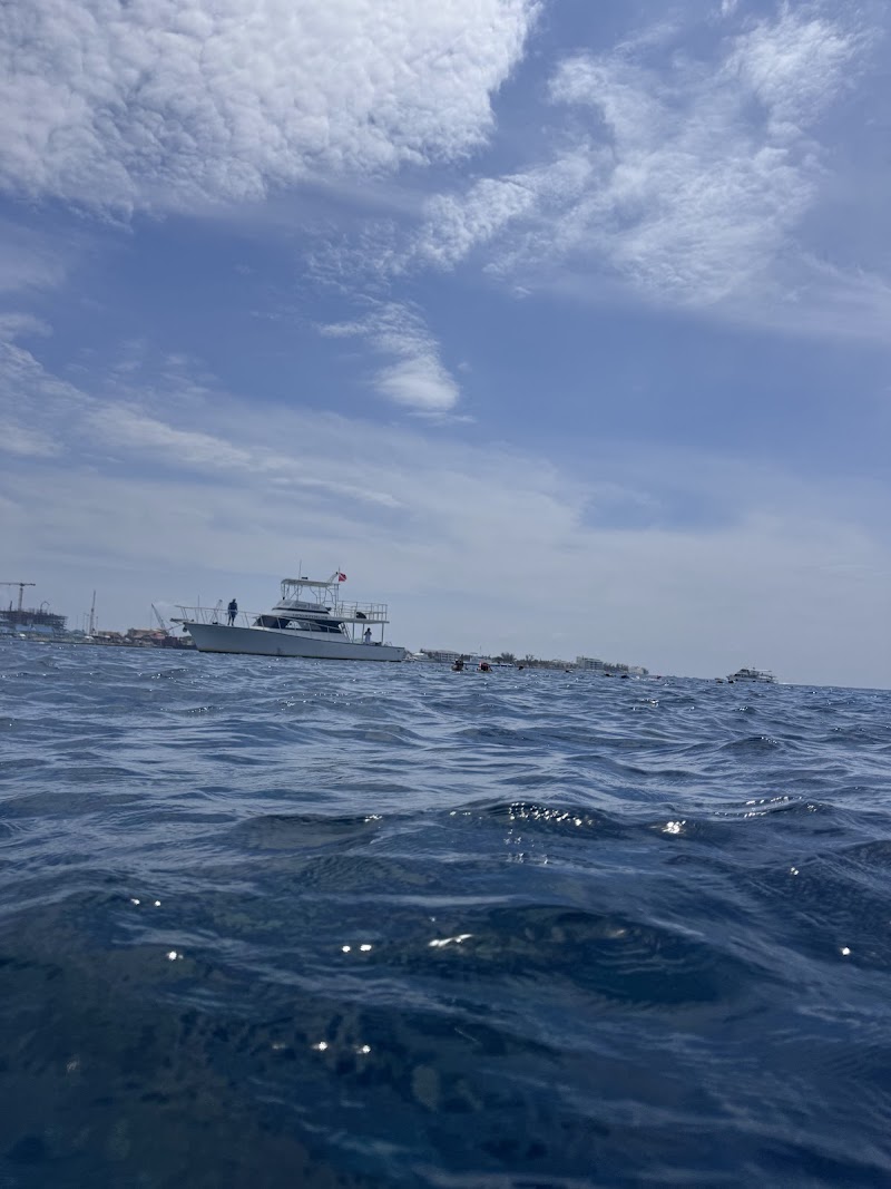 Kittiwake Shipwreck Snorkel