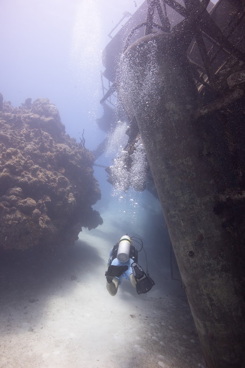 Kittiwake Shipwreck Snorkel