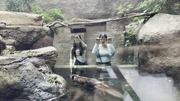 Kobe Animal Kingdom