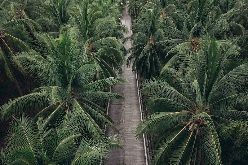 Koh Phangan