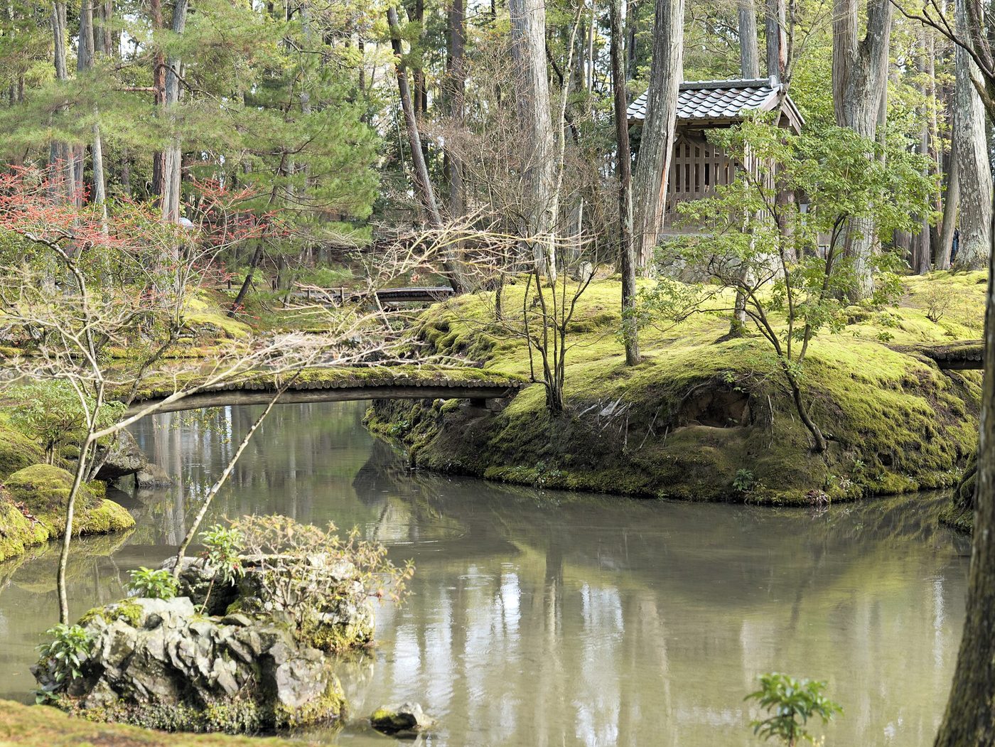 Kokedera (Moss Temple)