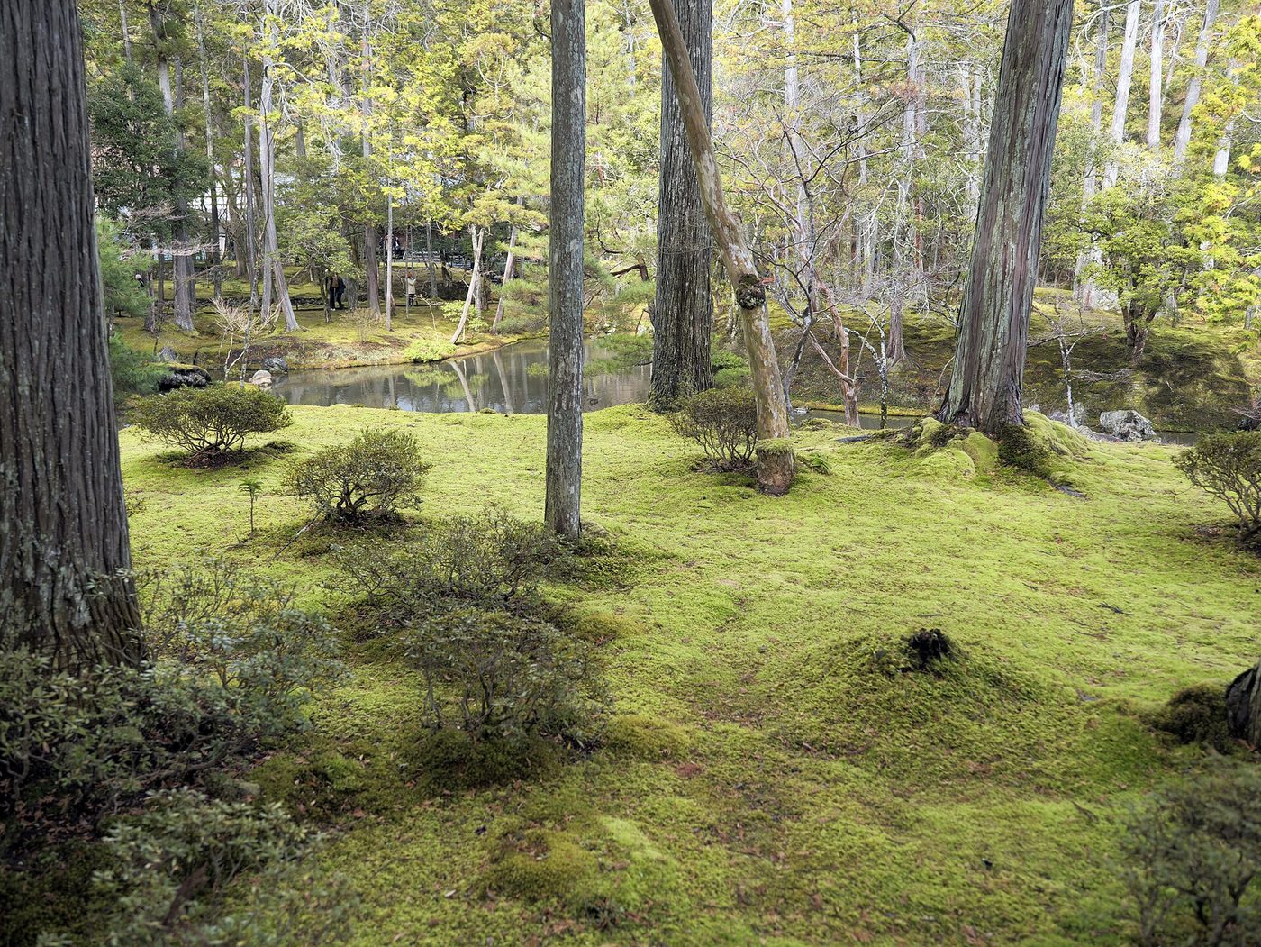 Kokedera (Moss Temple)