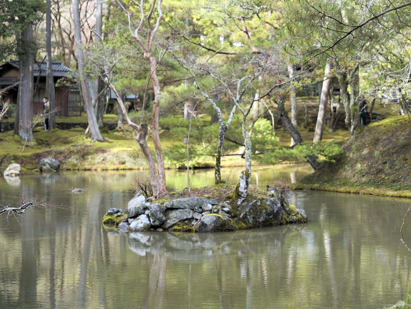 Kokedera (Moss Temple)