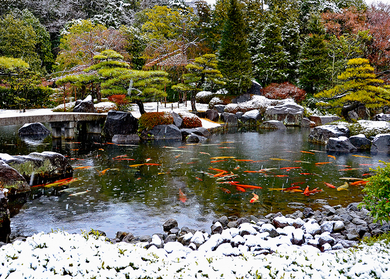 Kokoen Garden