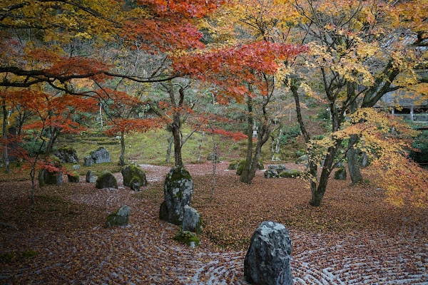 Komyozen-ji Temple