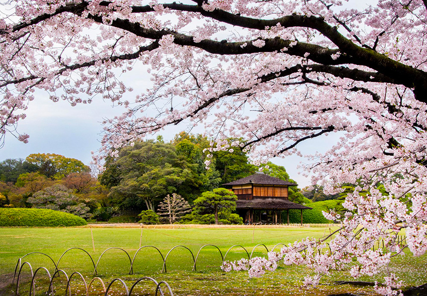 Korakuen Garden