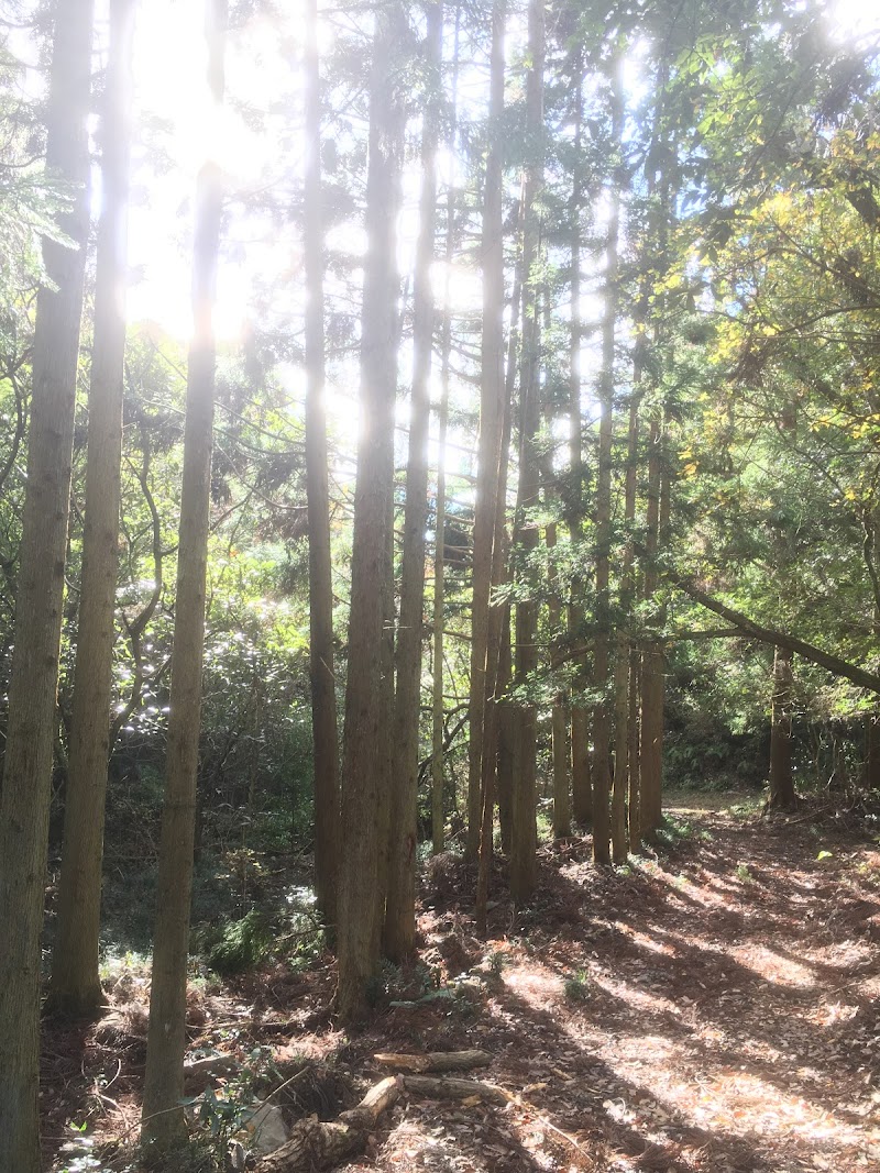 Koyasan (Mount Koya)