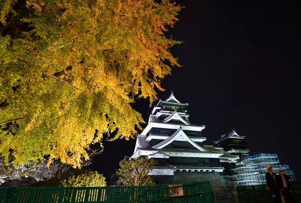 Kumamoto Castle Night Illumination
