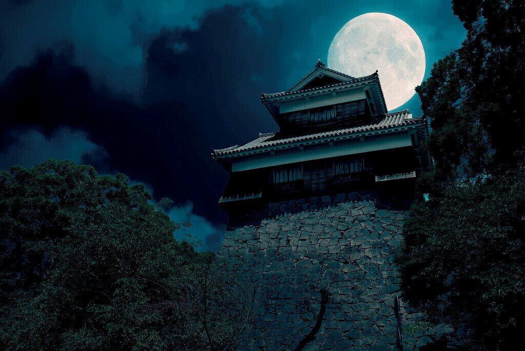 Kumamoto Night Tour