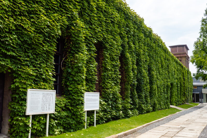 Kurashiki Ivy Square