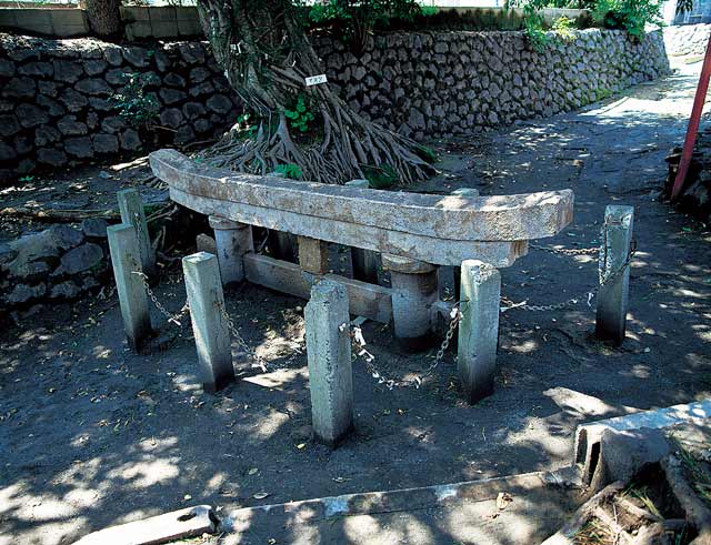 Kurokami Buried Torii