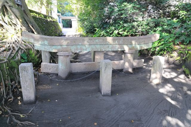 Kurokami Buried Torii