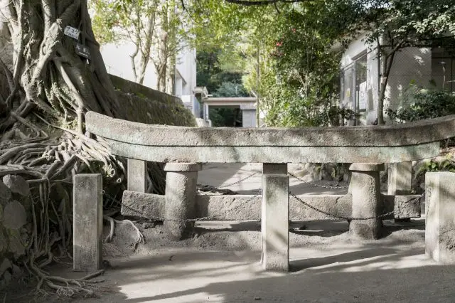 Kurokami Buried Torii