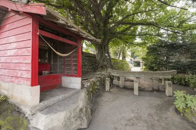 Kurokami Buried Torii