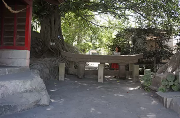 Kurokami Buried Torii