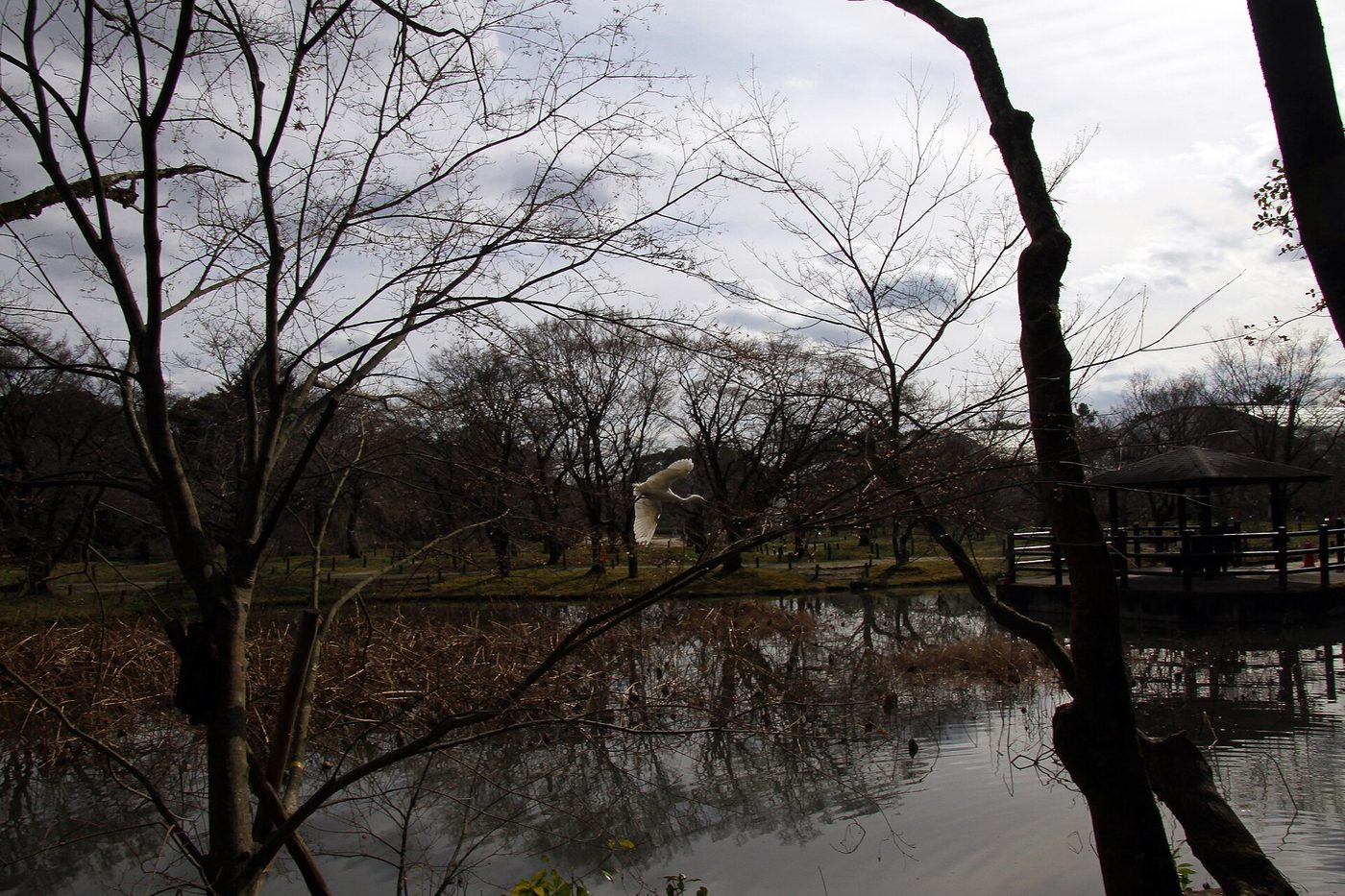 Kyoto Botanical Gardens
