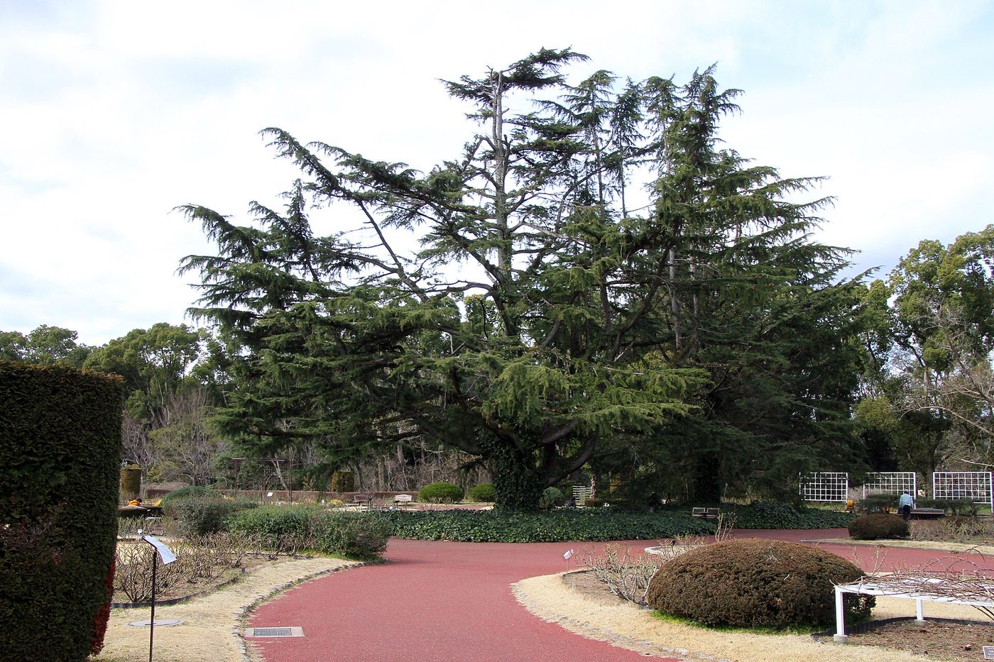 Kyoto Botanical Gardens