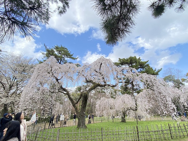 Kyoto Imperial Palace Gardens