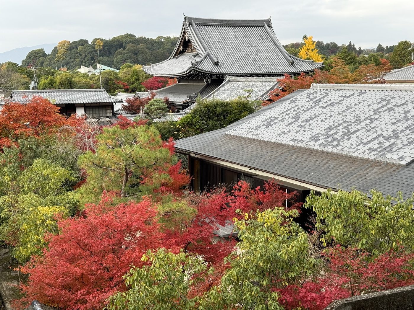 Kyoto Philosopher's Path Coffee