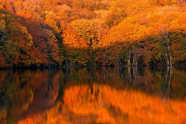 Lake Tsuta Walking Trail