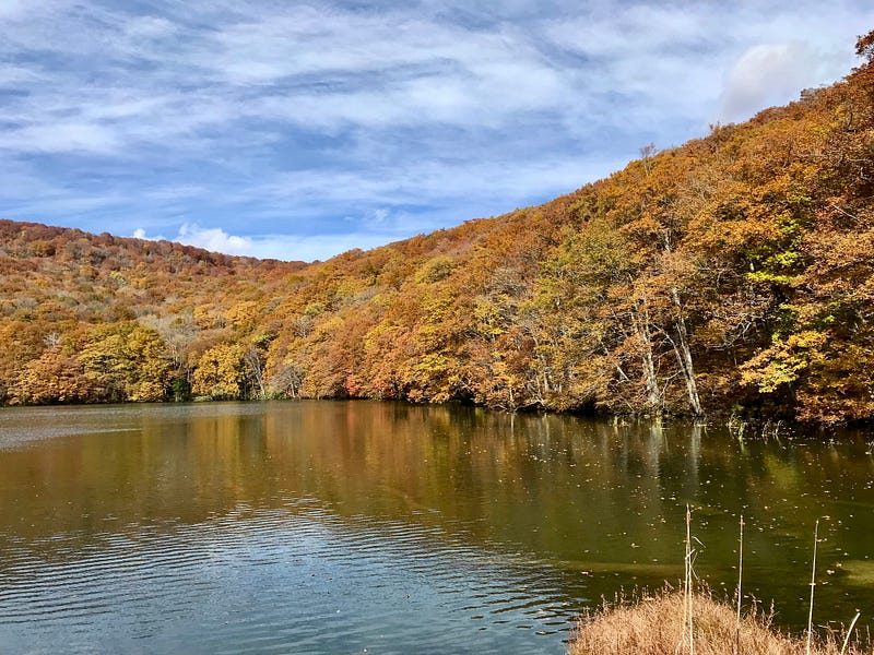 Lake Tsuta Walking Trail