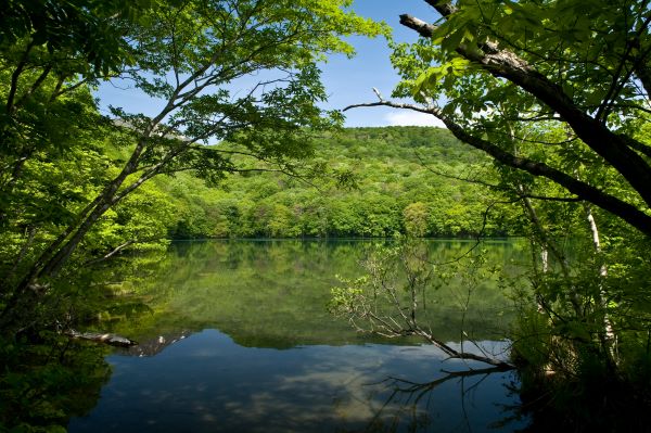 Lake Tsuta Walking Trail