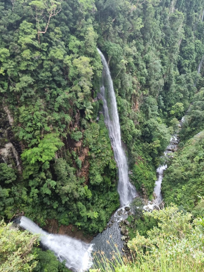 Lamington National Park