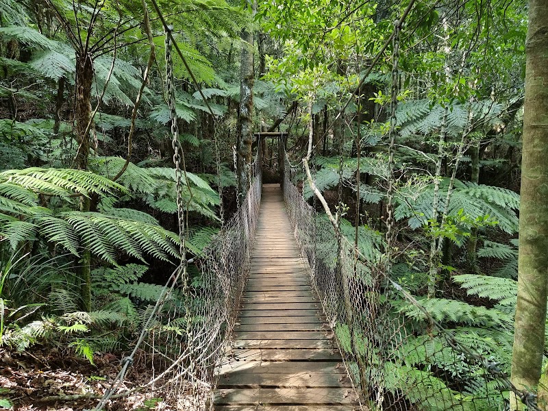 Lamington National Park