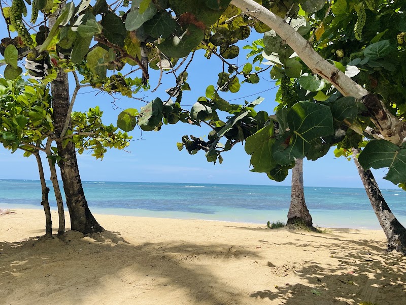 Las Galeras Village