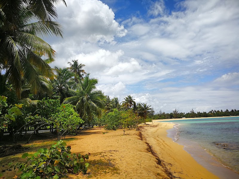 Las Terrenas Town Beach