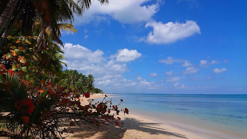 Las Terrenas Town Beach