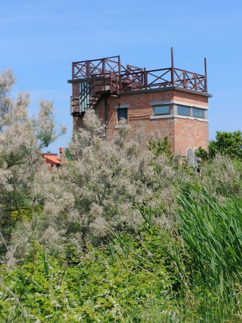 Lido di Venezia