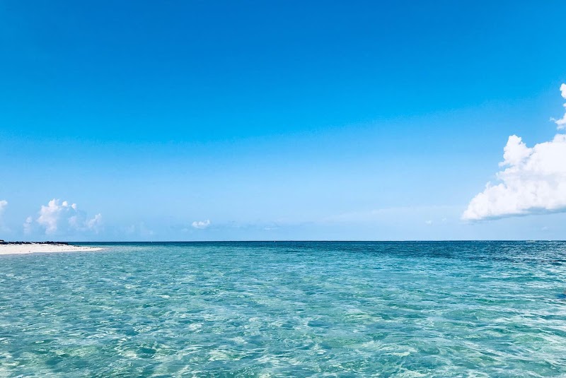 Little Cayman & Bloody Bay Wall