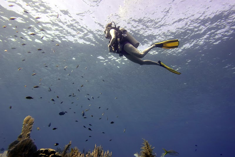 Little Cayman & Bloody Bay Wall