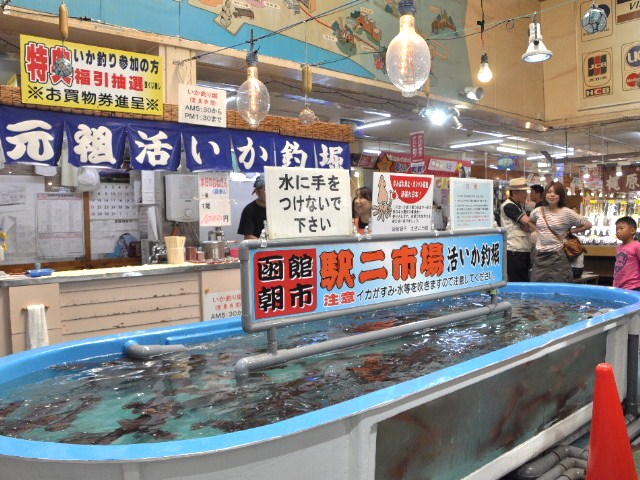 Live Squid Fishing