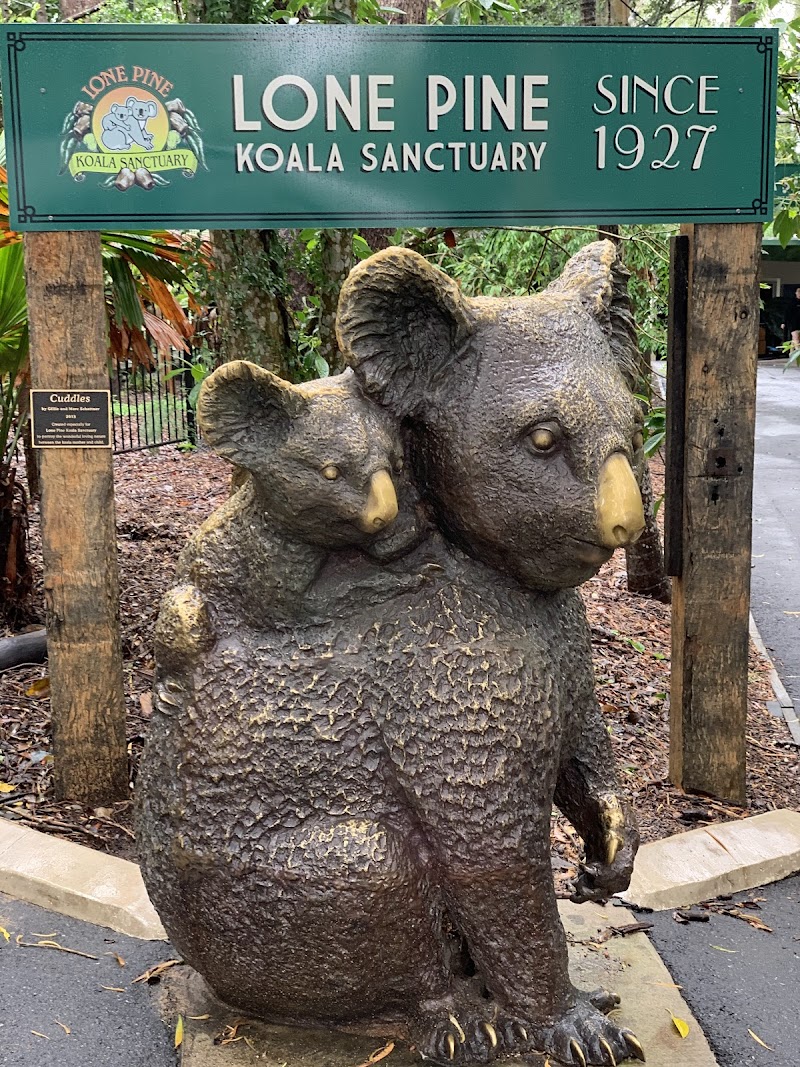 Lone Pine Koala Sanctuary