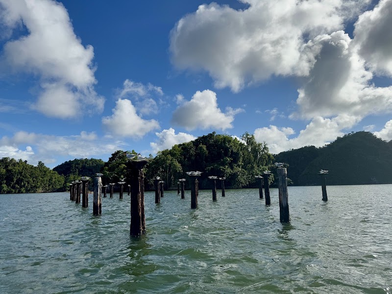 Los Haitises by Boat