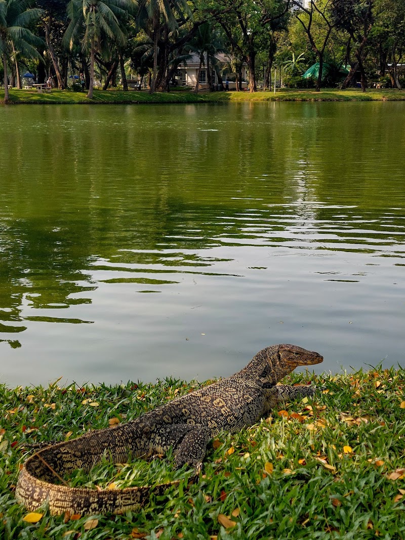 Lumphini Park