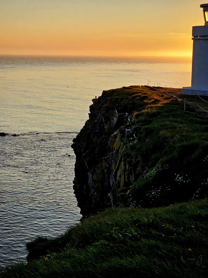 Látrabjarg Cliffs