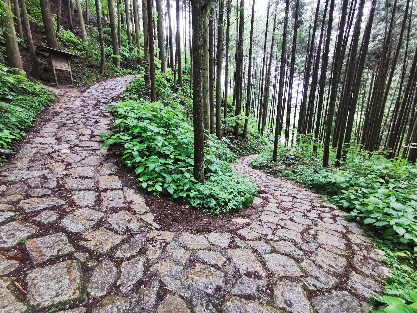 Magome-Tsumago Nakasendo Walk