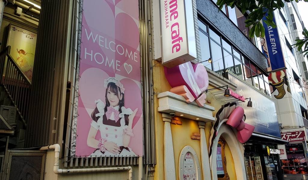 Maid Cafes