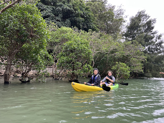 Mangrove Kayaking