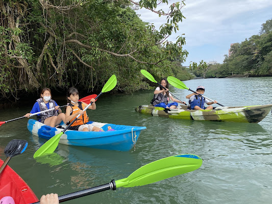 Mangrove Kayaking