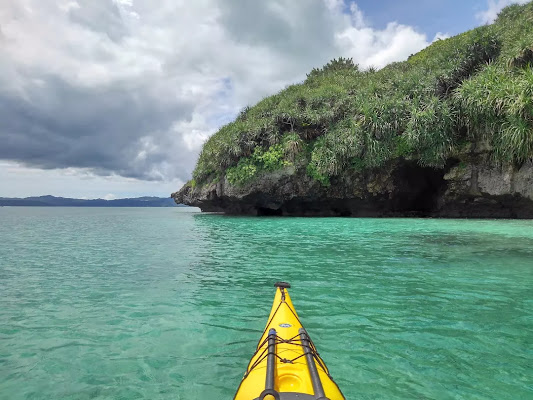 Mangrove Kayaking